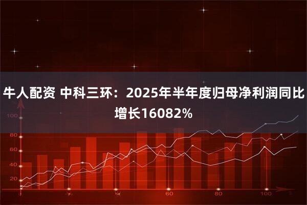 牛人配资 中科三环:2025年半年度归母净利润同比增长16082%